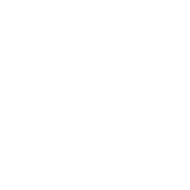CARF Accredited Seal of Excellence